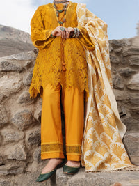 Mustard Schiffli 3Pc Stitched - AWP-3PS-217