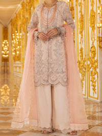 Light Pink Organza 3Pc Formal Unstitched - AL-3PS-LS-UN-358