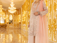 Light Pink Organza 3Pc Formal Unstitched - AL-3PS-LS-UN-358