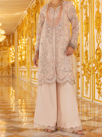 Light Pink Organza 3Pc Formal Unstitched - AL-3PS-LS-UN-358