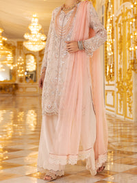 Light Pink Organza 3Pc Formal Unstitched - AL-3PS-LS-UN-358