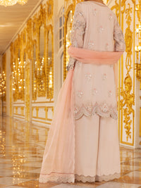 Light Pink Organza 3Pc Formal Unstitched - AL-3PS-LS-UN-358